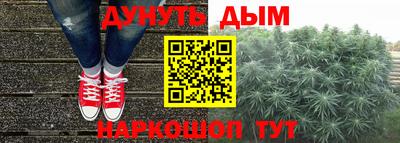 прущие крисы Надым