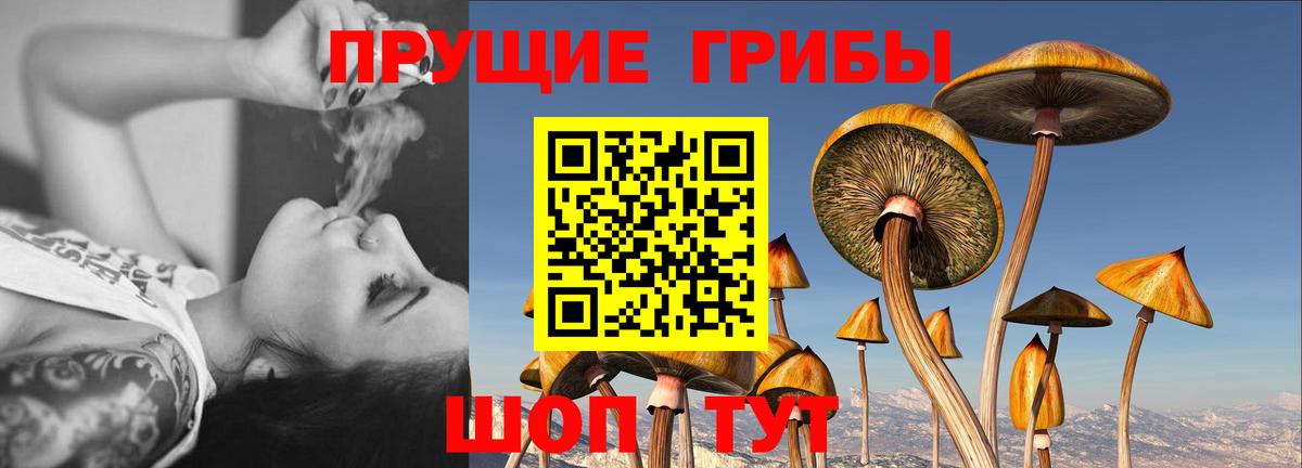 Когалым  Псилоцибиновые грибы мицелий  Вход с VPN 