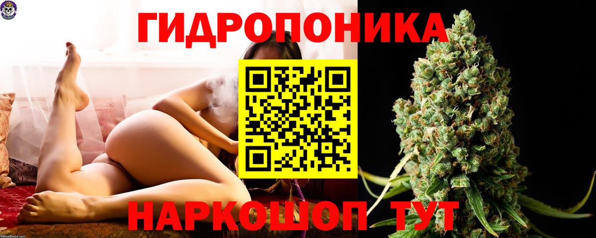 Канабис семена Когалым